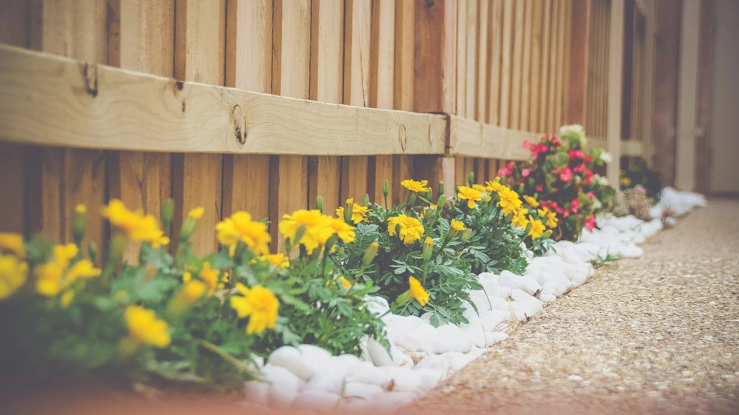 Flowers and fence detail on a landscaped property.