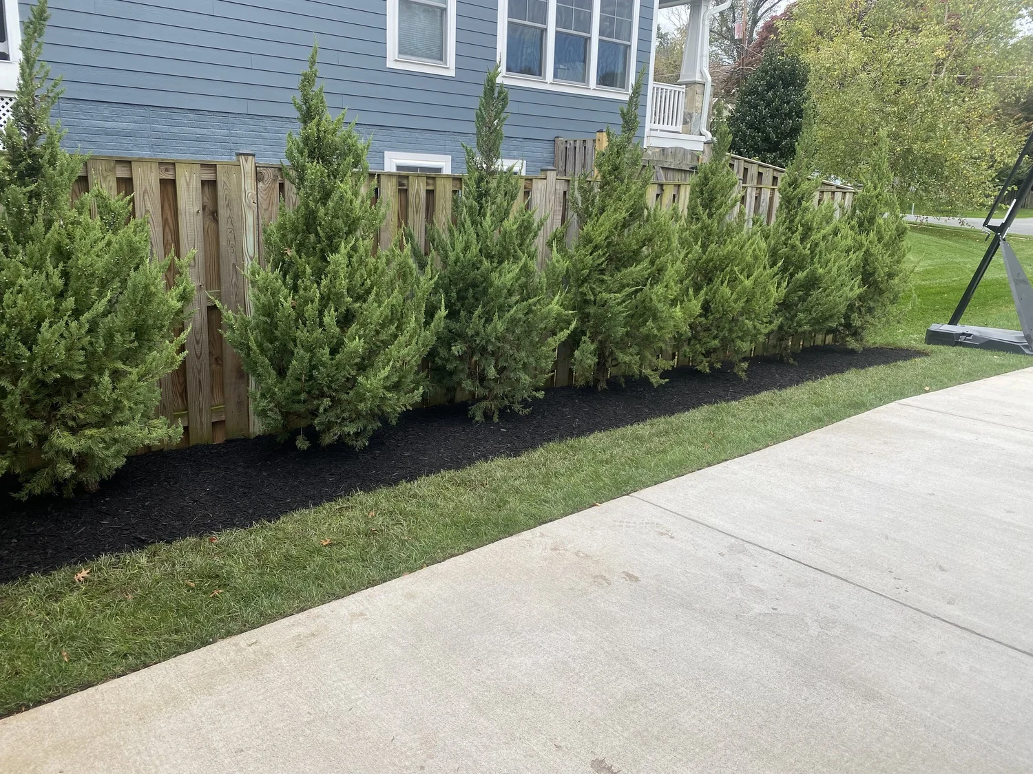 A detailed residential lawn project.